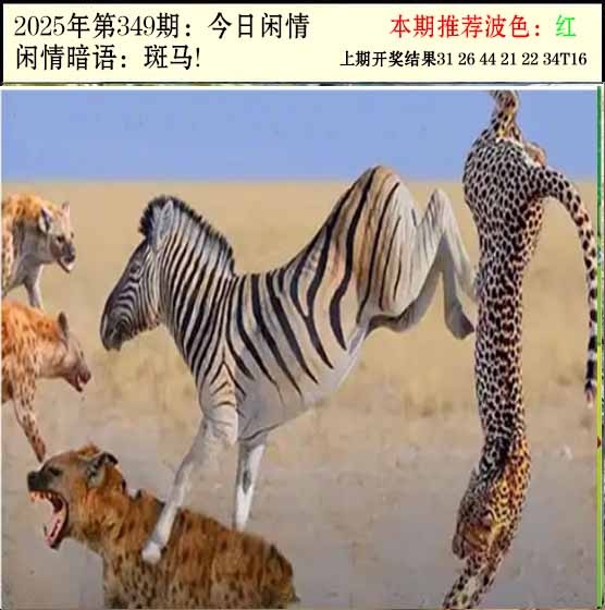 349期今日闲情2[图]