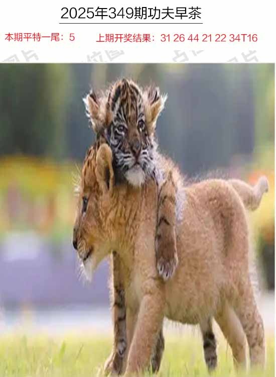 349期功夫早茶[图]