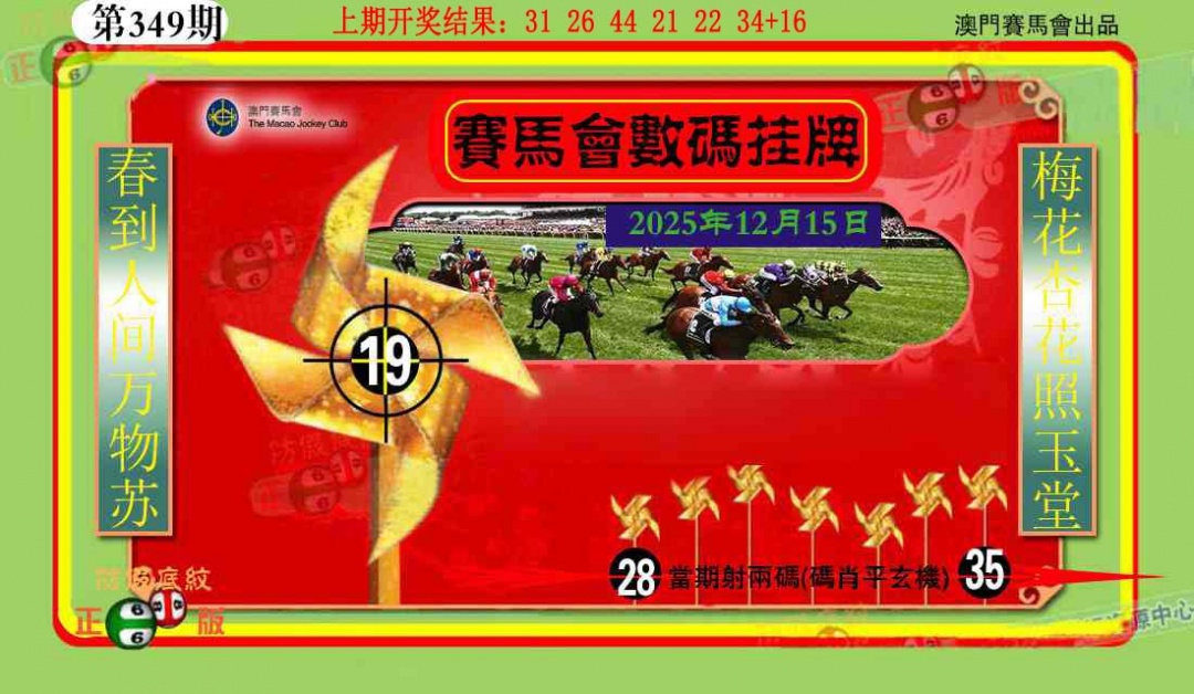 349期数玛挂牌[图]