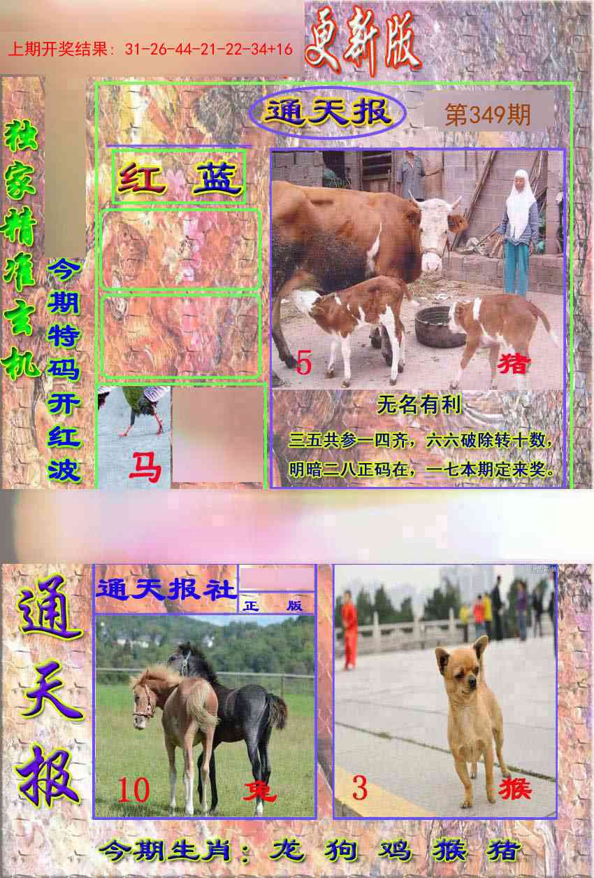 349期新通报[图]