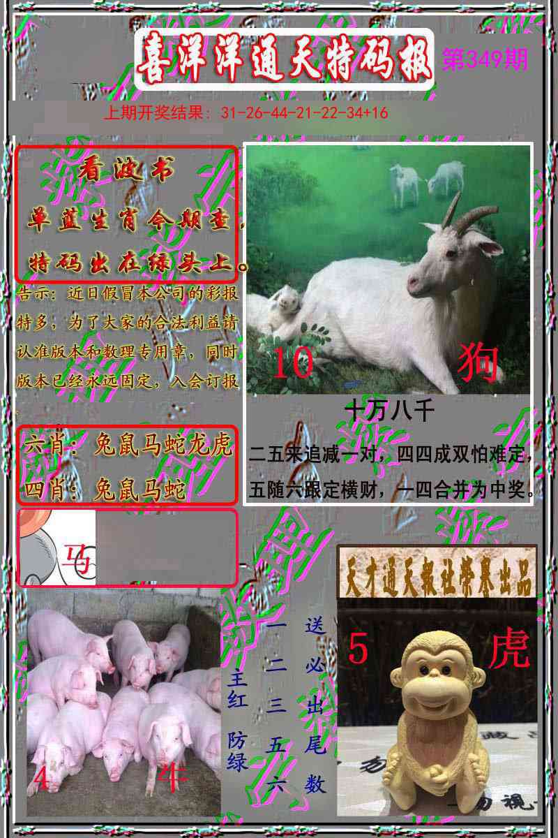 349期洋通报[图]