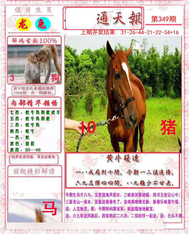 349期马经通天报[图]