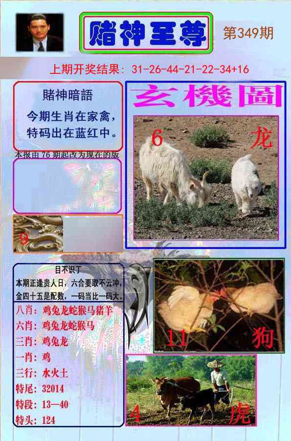 349期赌神至尊[图]