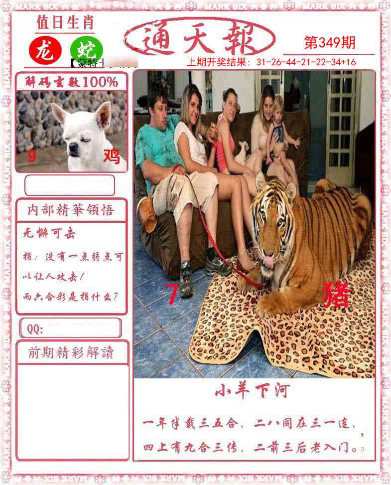 349期正版通天报[图]