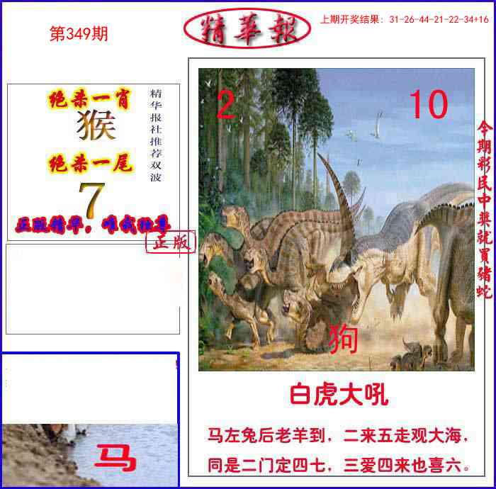 349期新精华报报[图]