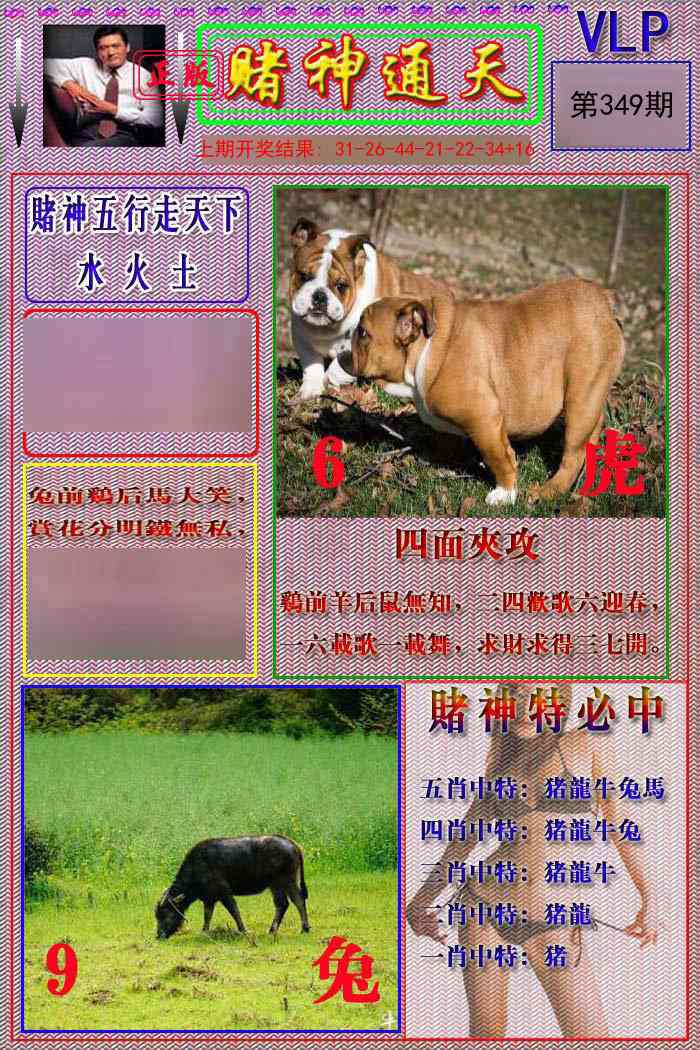 349期赌神通天报[图]