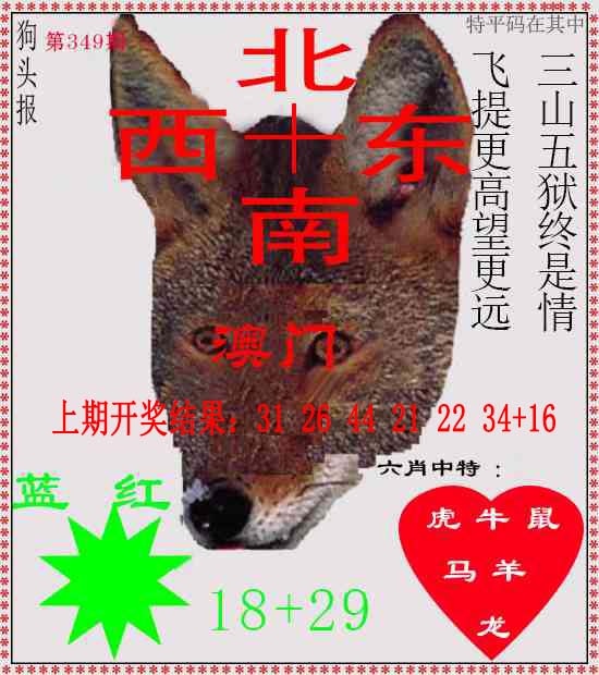 349期狗头报[图]
