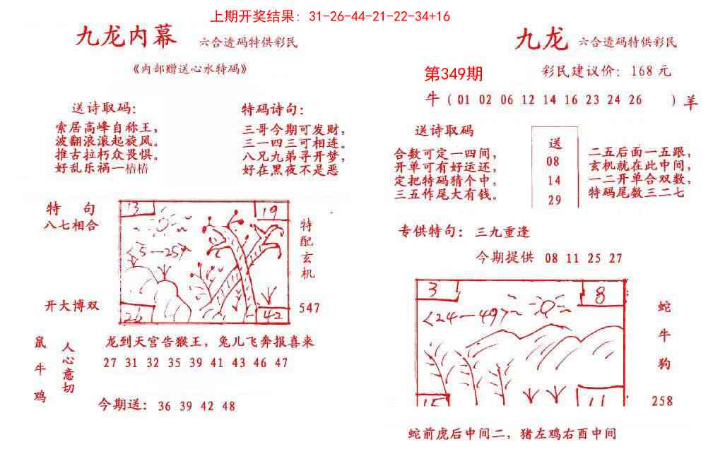 349期九龙内幕[图]