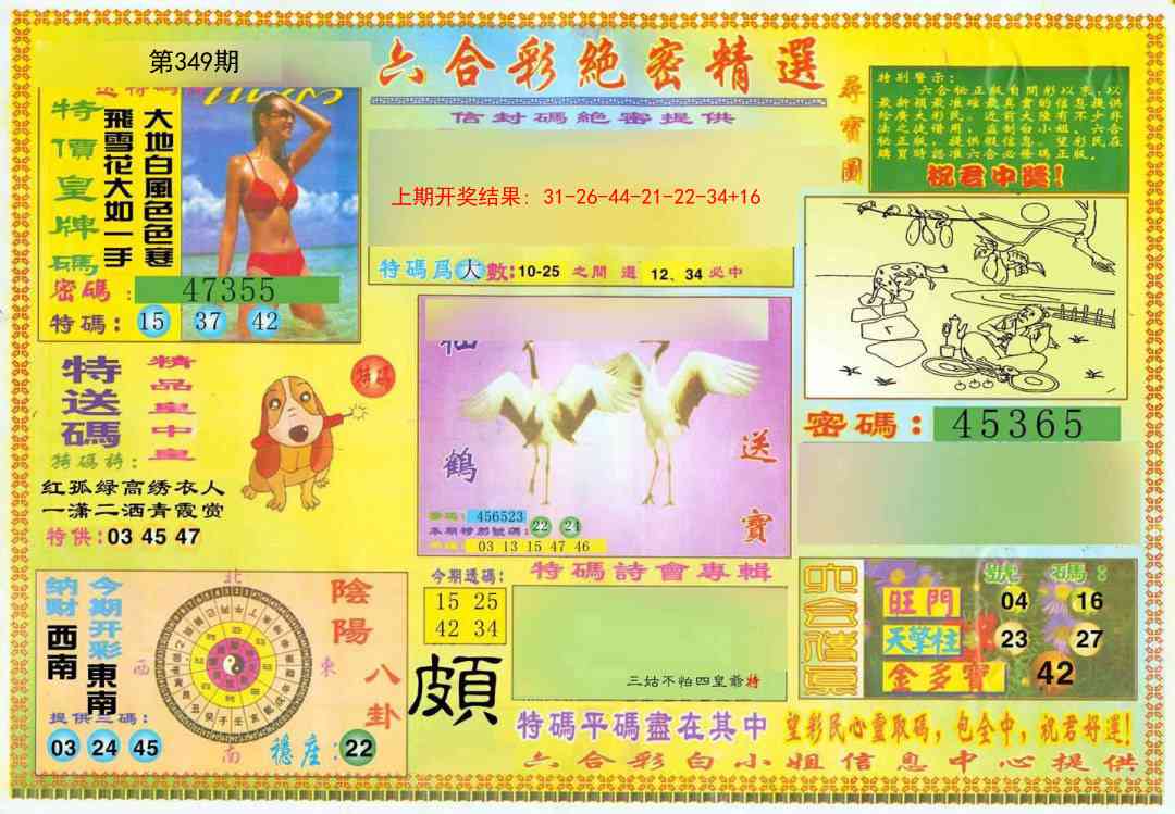 349期绝密精选A[图]