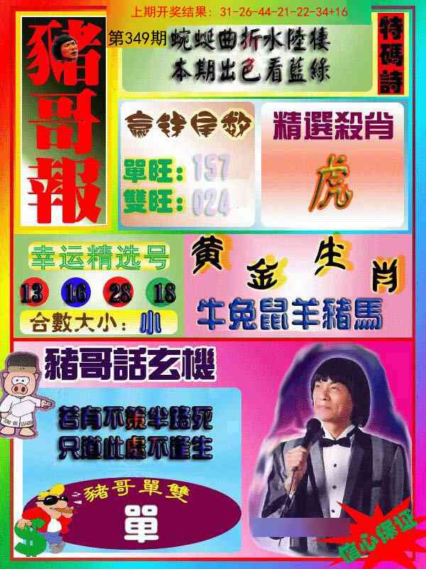 349期猪哥报[图]