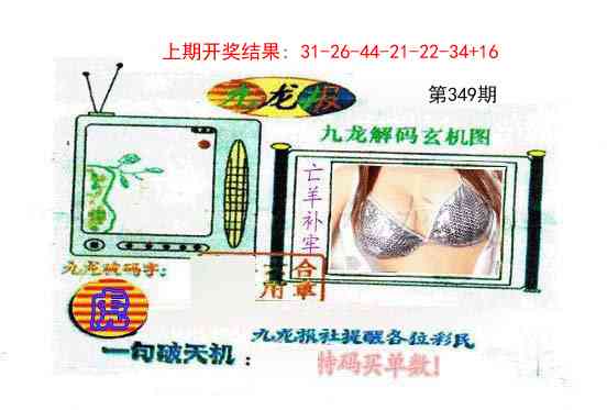 349期九龙报[图]