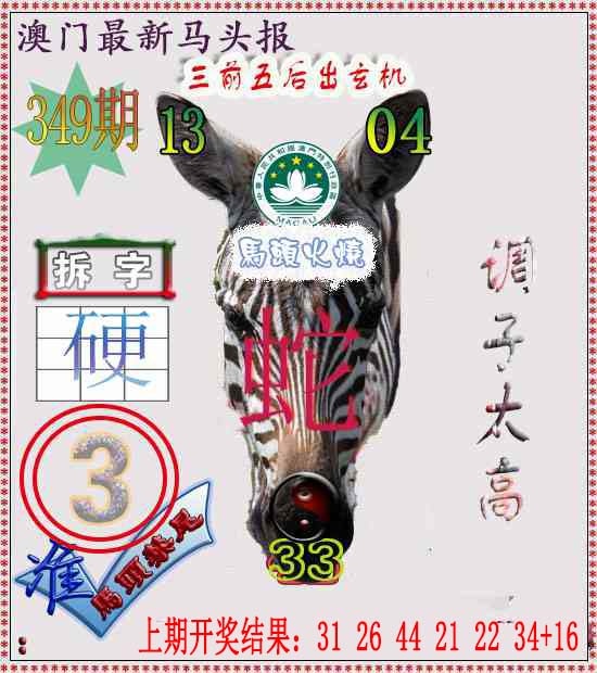 349期马头报[图]