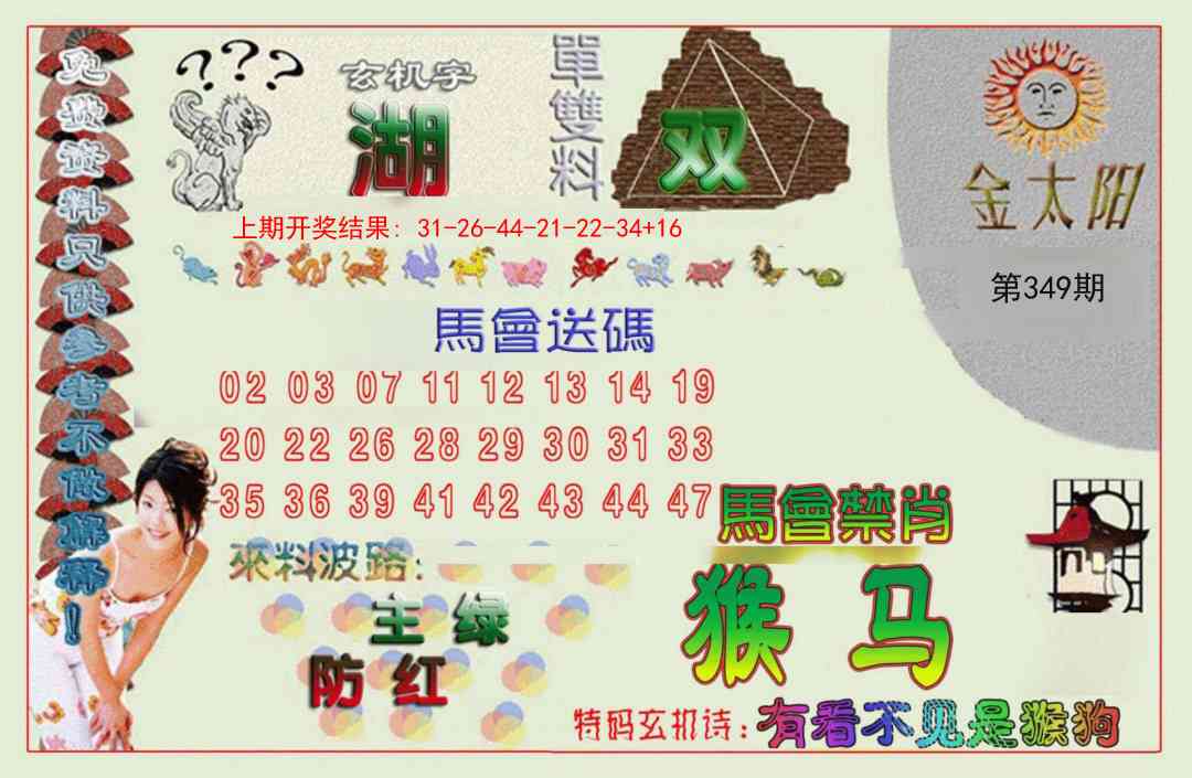 349期金太阳[图]