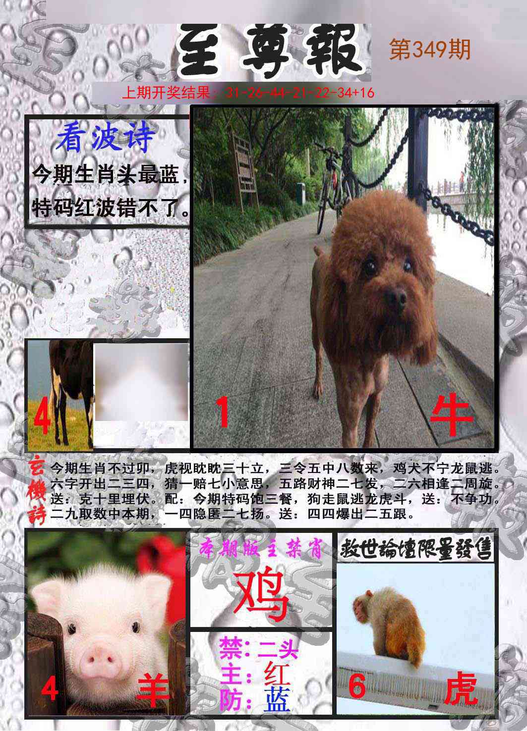 349期至尊报[图]