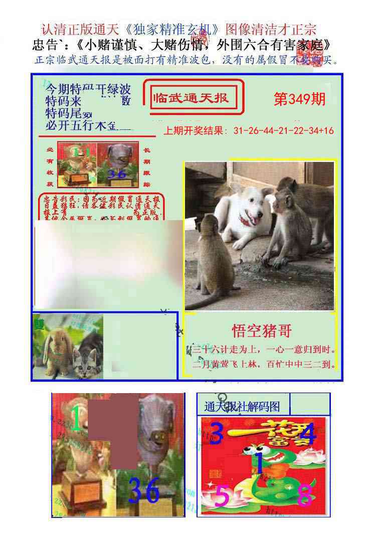 349期临武通天报[图]