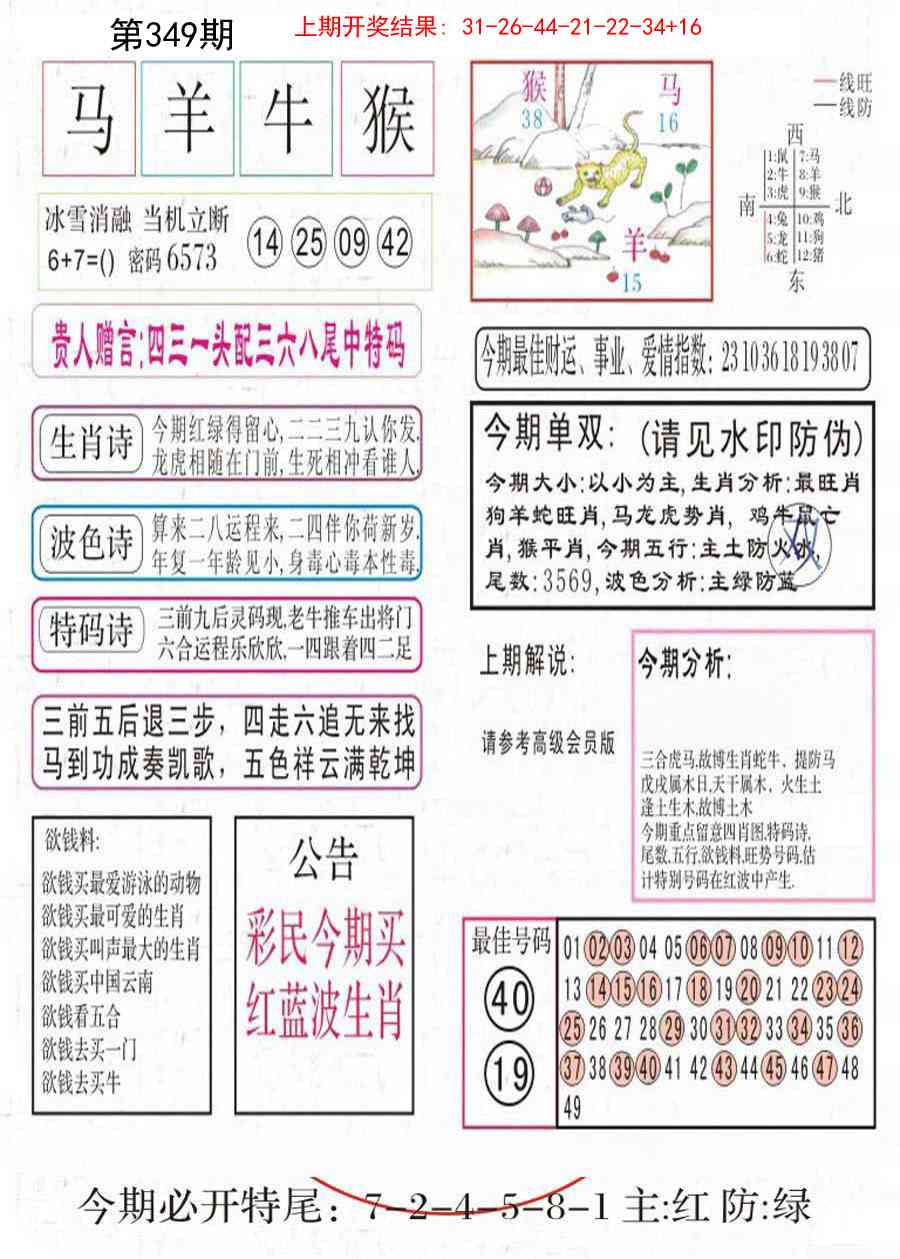 349期凤凰闲情A[图]