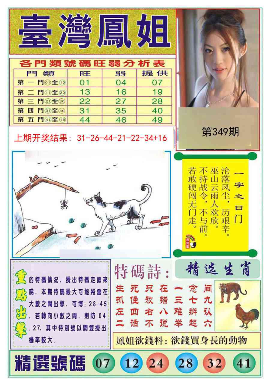 349期台湾凤姐[图]