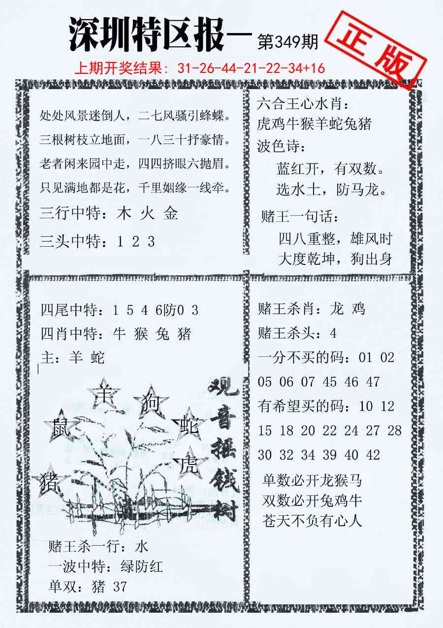 349期深圳特区报A[图]