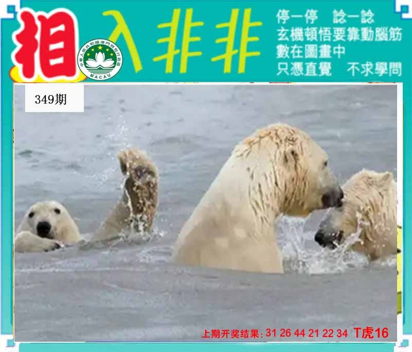 349期相入非非[图]