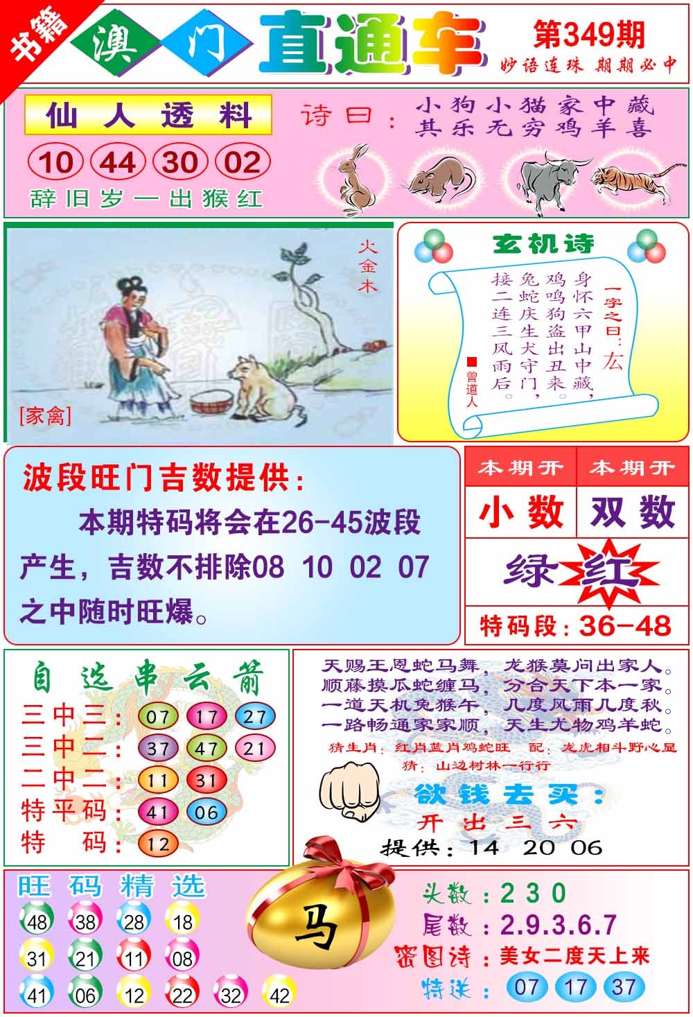 349期白姐直通车[图]