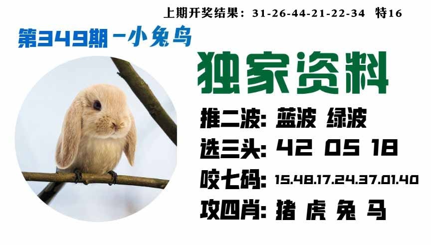 349期小兔鸟[图]