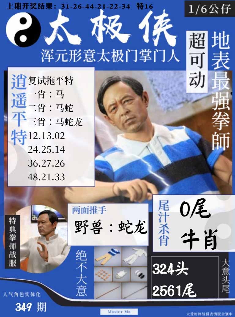 349期太极侠[图]